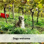 Séjour à la campagne Tiny House - Glamping Paradise Skatlar 45722 *