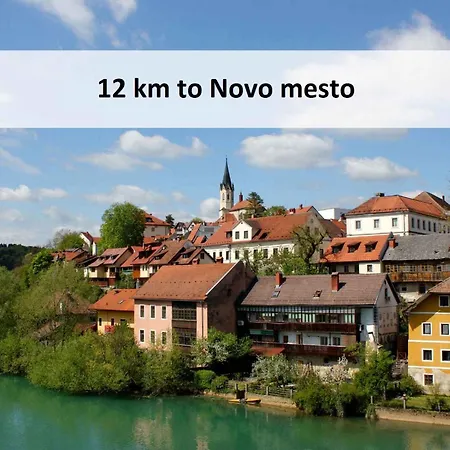 In - Kranjska Krain 45722 Gospodarstwo wiejskie *