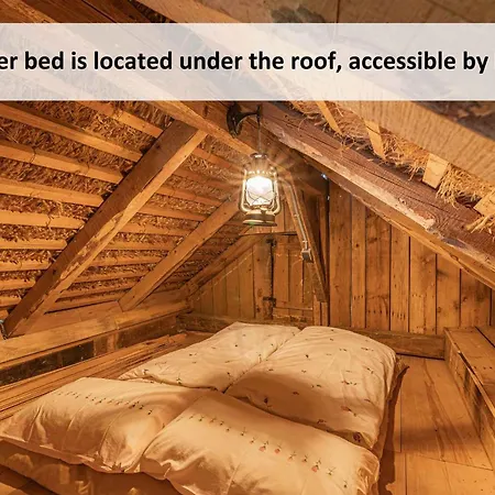 Tiny House - Glamping Paradise Skatlar 45722