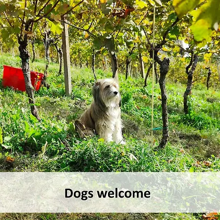 Seoska kuća Tiny House - Glamping Paradise Skatlar 45722 *