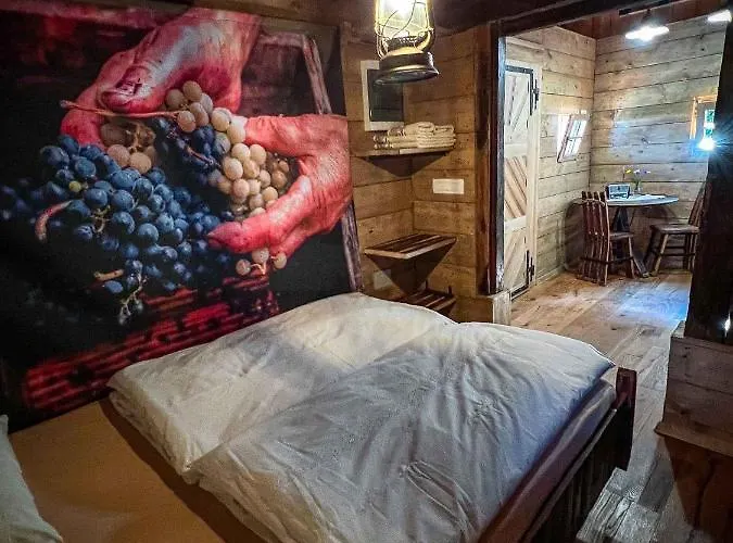 Landhuis Tiny House - Glamping Paradise Skatlar 45722