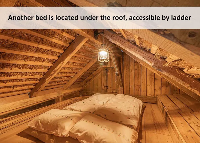 Tiny House - Glamping Paradise Skatlar 45722